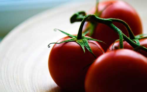 El tomate es desde tiempos inmemoriales compaero imprescindible en el Mediterrneo