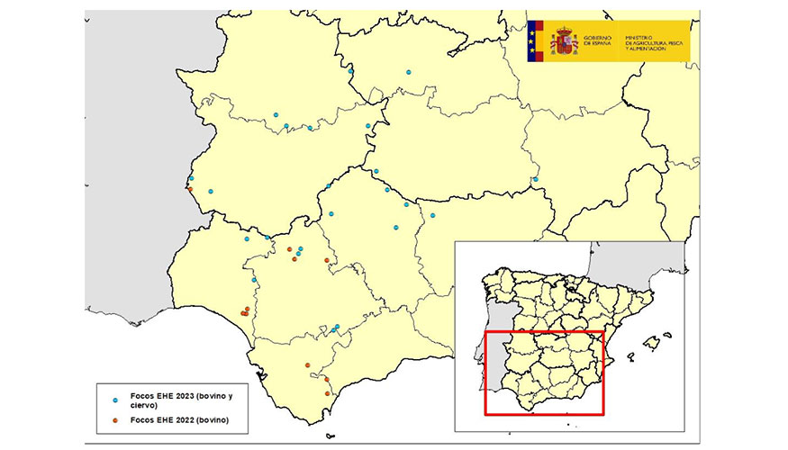 Focos de enfermedad hemorrgica epizotica en Espaa en los aos 2022 y 2023