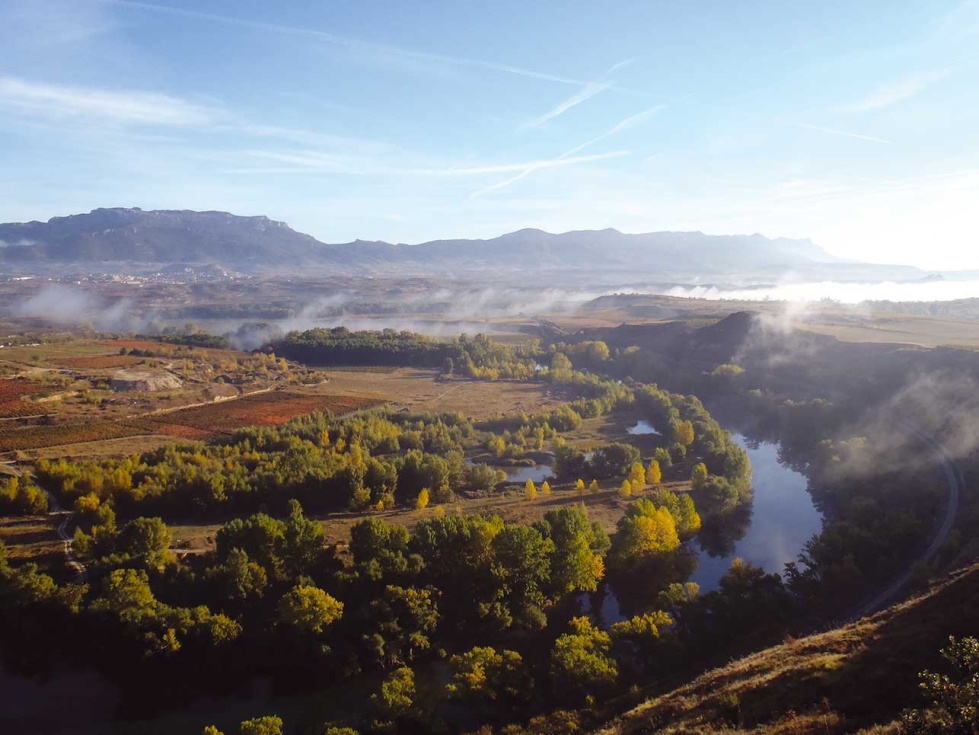 Bodegas Sonsierra