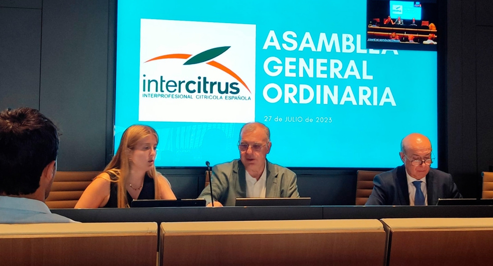 Asamblea de Intercitrus, celebrada en la sede del Comit de Gestin de Ctricos (CGC)