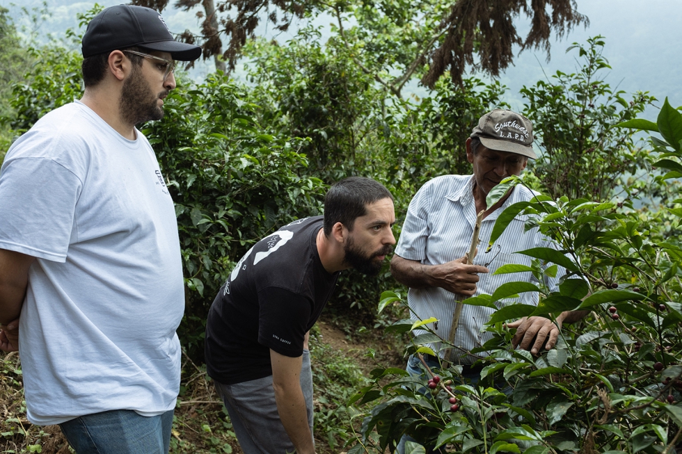 El caf de Syra Coffee procede de pequeos agricultores