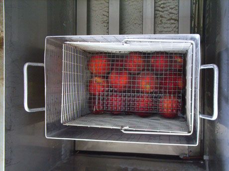 Detalle del tratamiento de la fruta en bao de agua caliente