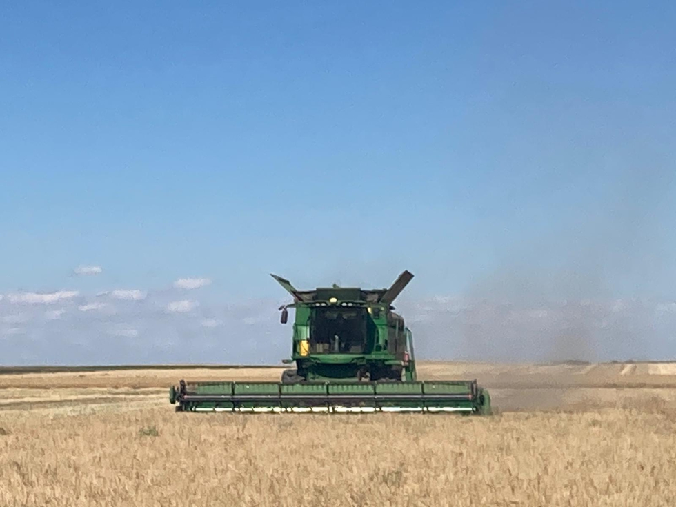 La escasez de precipitaciones y las altas temperaturas al final del ciclo han mermado la cosecha de cereales en la campaa 22/23...