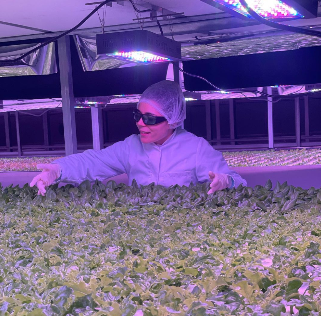 At ao momento, j foram produzidos coentros, alface e rculas, mas a produo poder estender-se a outras hortcolas ou frutas...