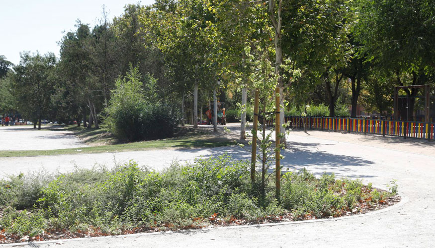 El parque cuenta con zonas verdes y estanciales ampliadas: se han plantado 196 rboles y 16.000 arbustos nuevos y se han ganado ms de 7...