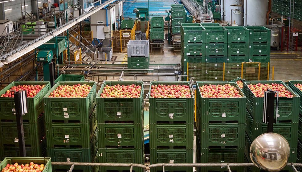 La planta frutal de BayWa en Kressbronn es el principal centro de produccin de manzanas...