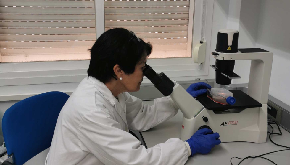 Isabel Seiquer, coautora do estudo, ao microscpio