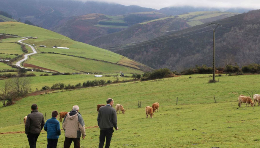 El Centro de Transformaci�n de Los Ancares quiere poner en valor el paisaje y los sabores de la comarca