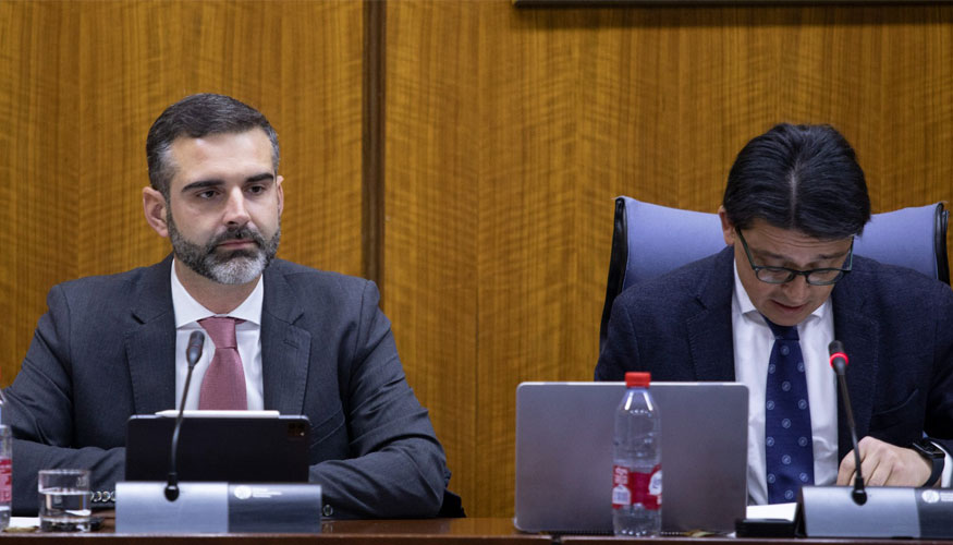 El consejero de Sostenibilidad, Medio Ambiente y Economa Azul de la Junta de Andaluca, Ramn Fernndez-Pacheco, en una foto de archivo...