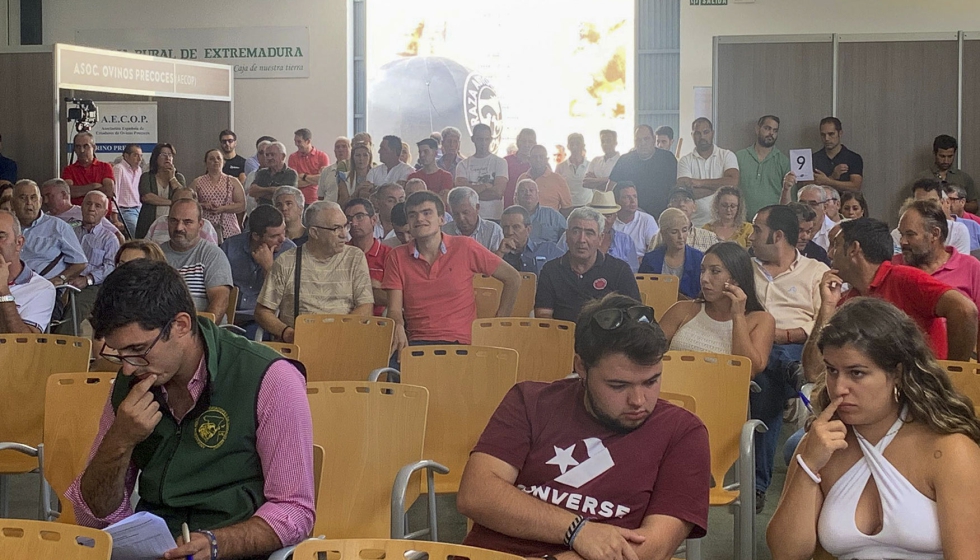 Subasta celebrada durante la pasada edici�n del Sal�n Ovino de Castuera (Badajoz)