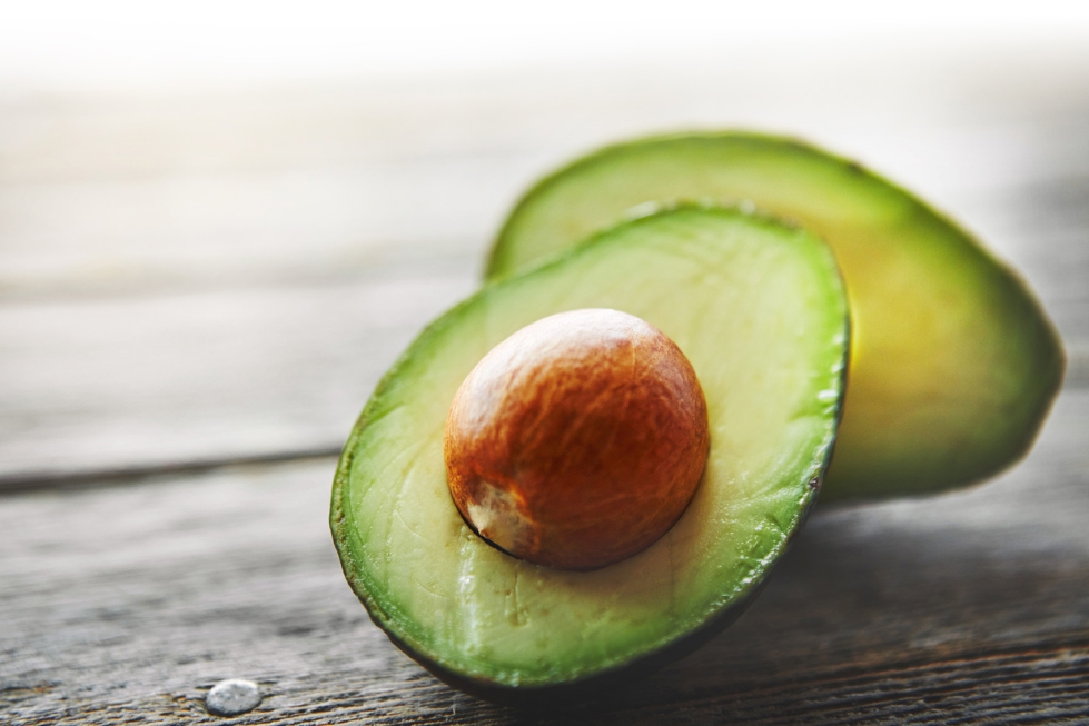 Foto de Aguacates, la Revolucin Verde del siglo XXI