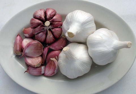 The purple garlic from Las Pedroeras contains qualitatively and quantitatively a greater proportion of composite organosulfurados...