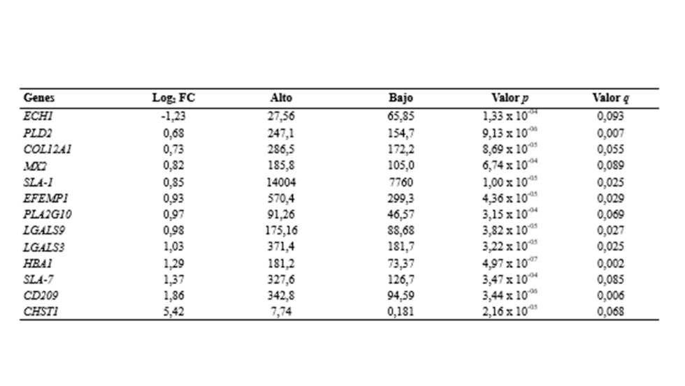 Tabla 2...