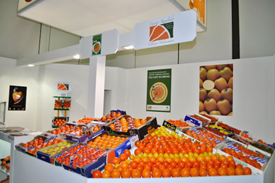 Imagen del stand del la IGP Ctricos Valencianos en la anterior edicin de 'Fruit Logstica'