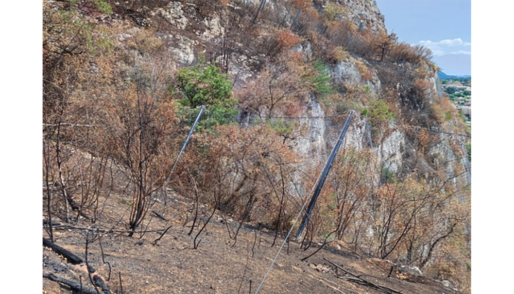 Fig. 19. Vista desde el trasds de la barrera donde se observa la altura que alcanzaron las llamas durante el incendio