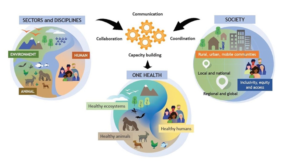 Figura 1. Relaciones en la definición del concepto One Health de acuerdo con la definición de la OMS