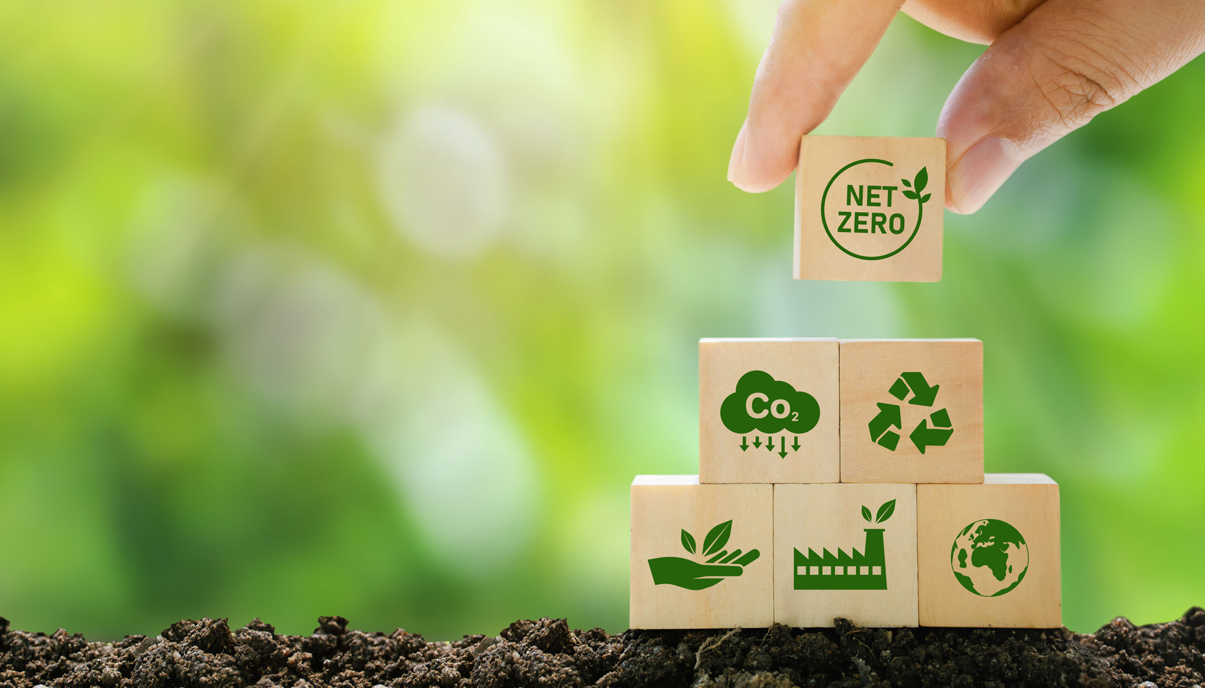 La introducci�n de la IA en los procesos de producci�n contribuir� a reducir la huella de carbono del sector de las resinas...