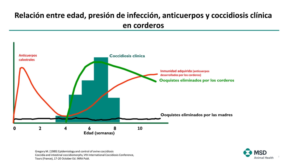Figura 2. Posibles esquemas de vacunacin frente a enfermedades respiratorias y clostridiales en corderos