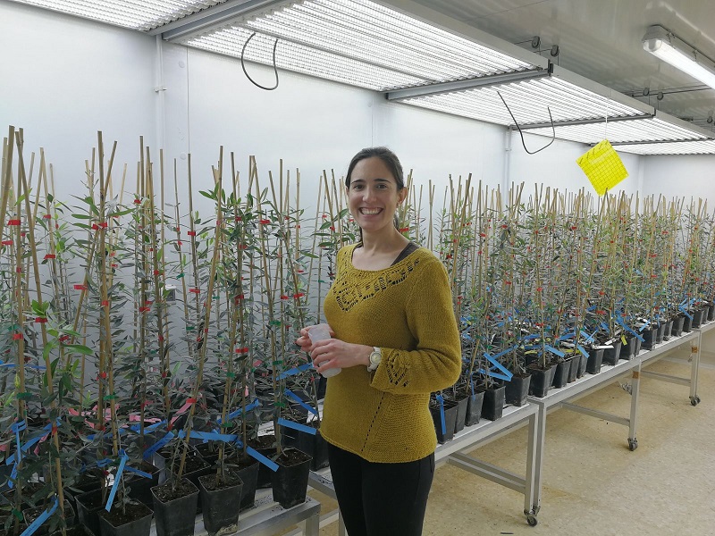 La investigadora de la Universidad de Jan Alicia Serrano, autora del artculo