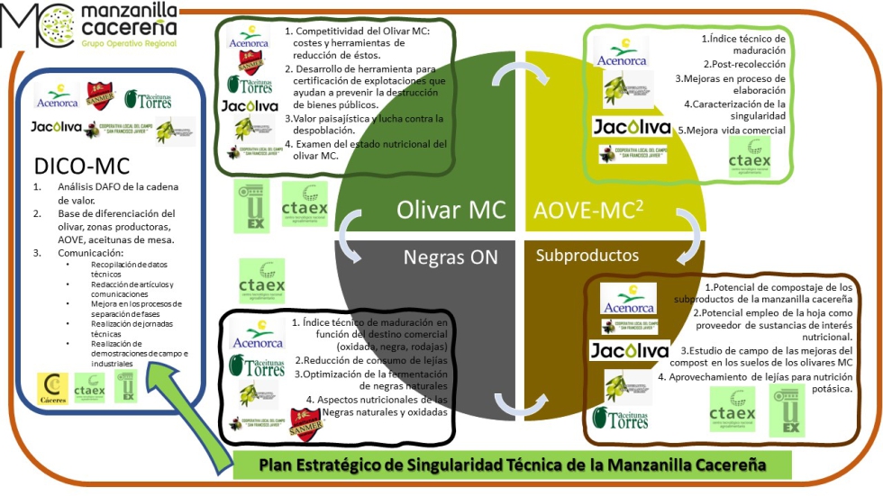 Esquema de la organizacin y objetivos principales de las actividades del Grupo Operativo Manzanilla Cacerea