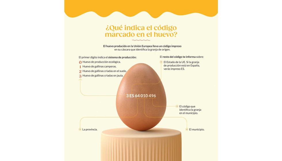 Huevos En Jerarquía En La Naturaleza, Huevos Frescos Para Cocinar O Materia  Prima, Fondo Fresco De Los Huevos Imagen de archivo - Imagen de retiro,  fondo: 61937607