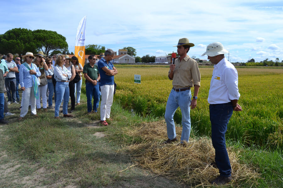 J no campo, com todos os participantes distribudos por diversos ateliers tcnicos...