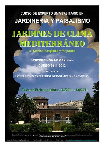 Pster del curso organizado por la Universidad de Sevilla