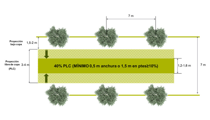 Figura 1. Ejemplo de las dimensiones que ha de tener una cubierta vegetal segn los requisitos contemplados en las medias P6 y P7...