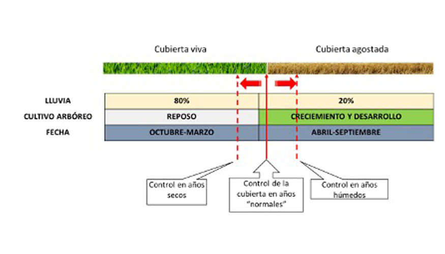 Figura 3. Momento de siega de la cubierta vegetal