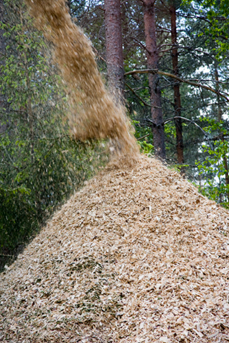 La biomasa es una fuente de combustible natural que adems ayuda a mantener limpios los bosques