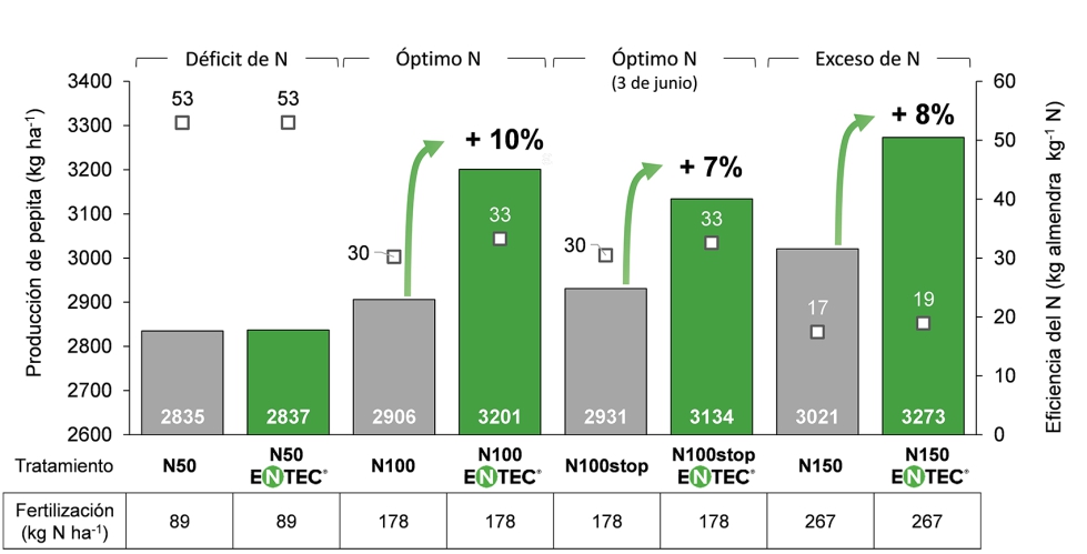 Figura 2. Resultados de produccin de almendra (pepita) y de la eficiencia en el uso del nitrgeno del cultivo...