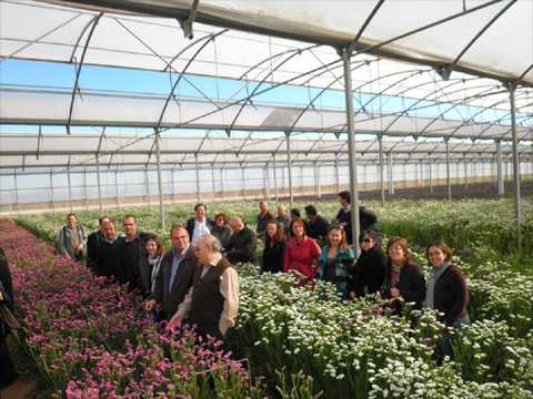 Parte fundamental de las jornadas fue la visita a diversas explotaciones de flor cortada