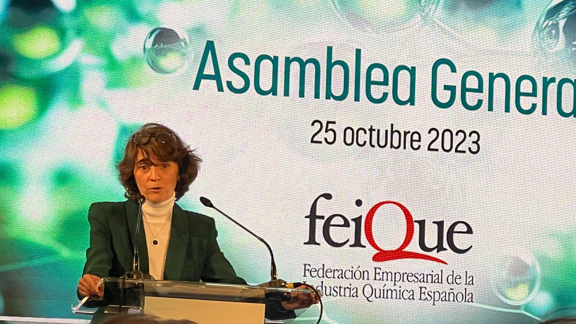 Teresa Rasero, presidenta de Feique, en su intervencin en la asamblea anual de la asociacin