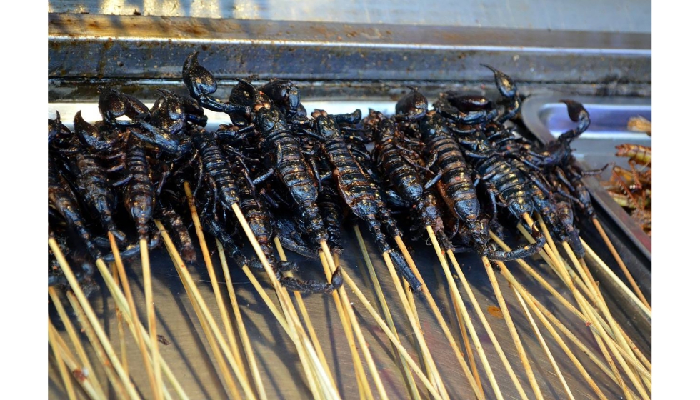 En Mxico la tradicin entomofagia tiene mucho arraigo, ofreciendo platos a base de chinches, hormigas, avispas y termitas. Foto: Pixabay...