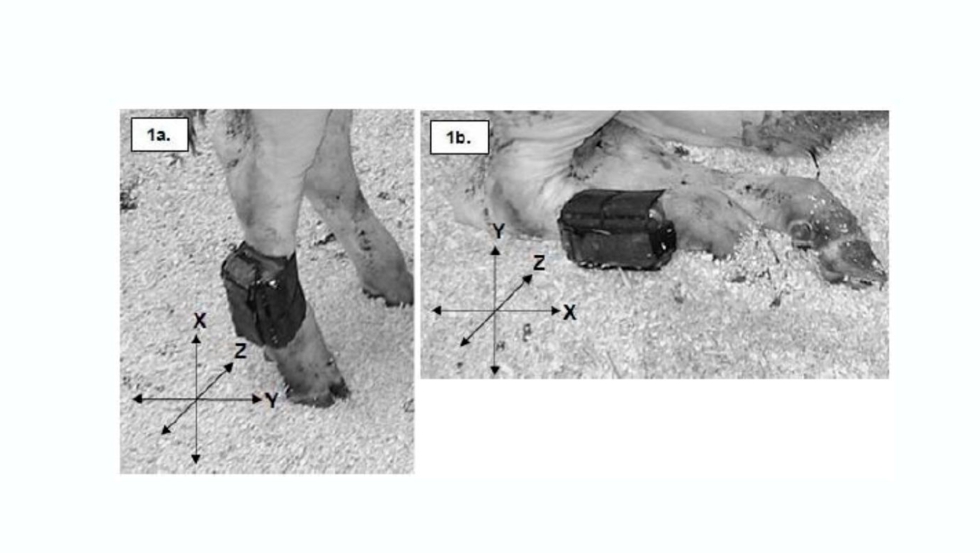 Foto 1. Acelermetro de tres ejes. Fuente: Robert et al. (2009)