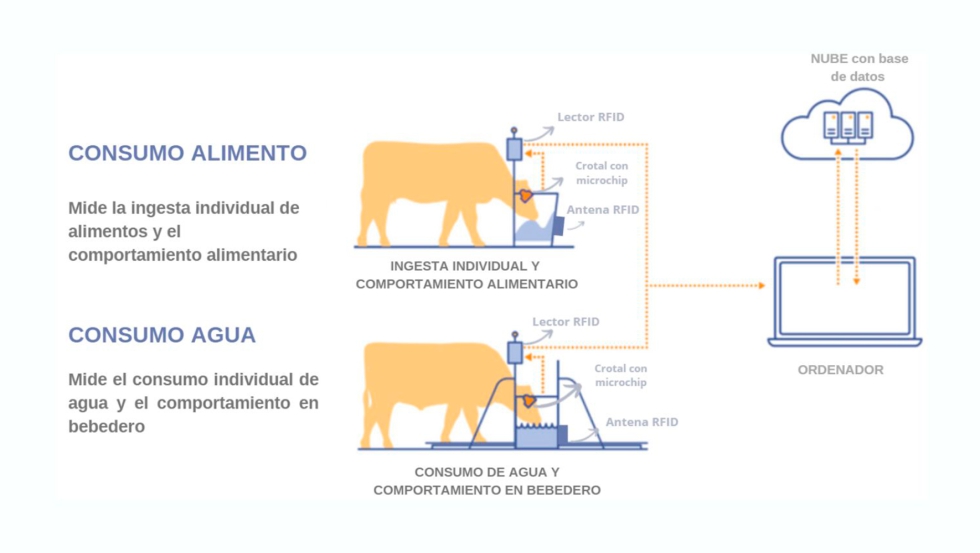 Foto 2. Esquema del sistema GrowSafe, el cual determina la cantidad de alimento y agua ingeridos