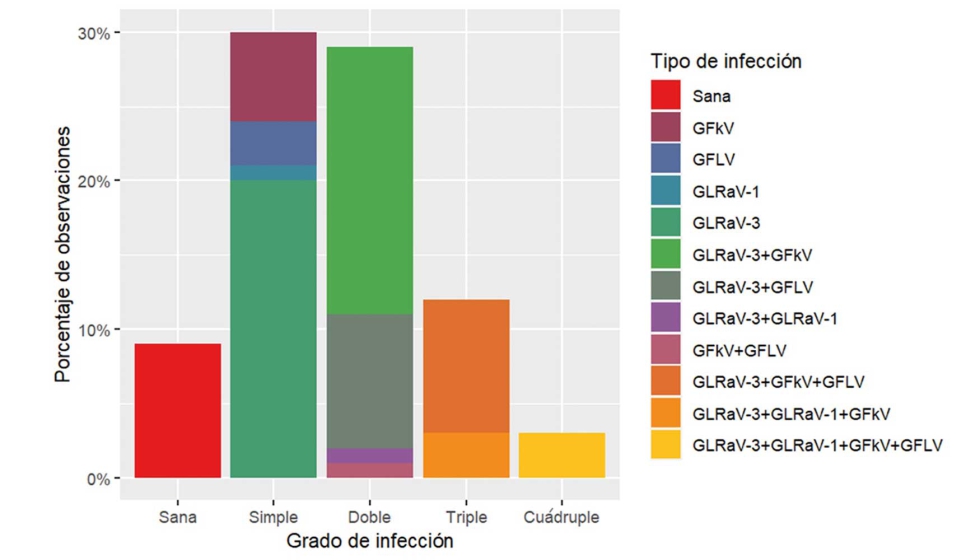 Figura 1. Incidencia de infecciones simples y mltiples de los cultivares locales de vid de las Islas Baleares (%). Adaptado de El Aou-ouad et al...