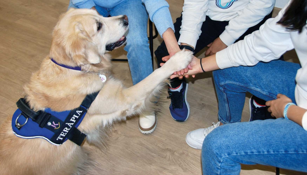 El estudio se ha llevado a cabo con la participacin de 114 adolescentes y seis perros de terapia asistida