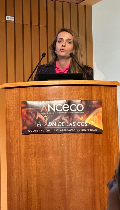 Ana Lorenzo, directora de Asuntos Pblicos, Comunicacin y ESG de Grupo IFA