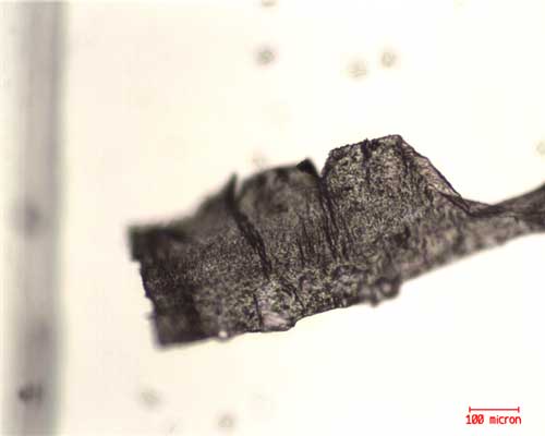 Figura 4. Microscopia ptica de nanocompuestos CB-PP