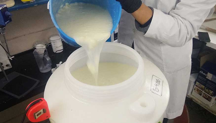 Proceso de separaci�n del concentrado de prote�nas del suero l�cteo por decantaci�n, un proceso simple para ser aplicado en pymes...