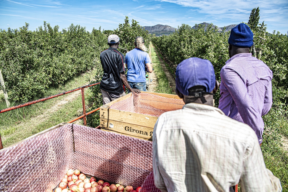 Grupo de trabajadores