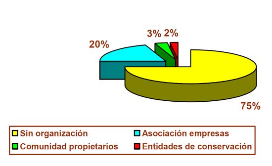 Tipos de organizacin de las reas industriales en Espaa (Fuente: Encuesta Cepe)