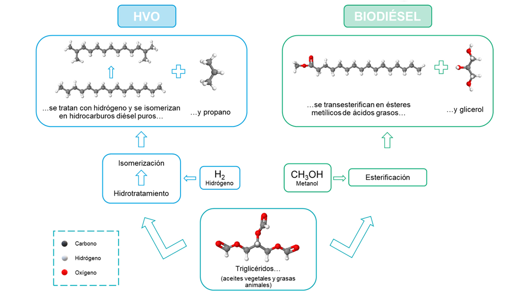 1. Esquema simplificado de los procesos de esterificacin e hidrotratamiento para obtener biodisel y HVO