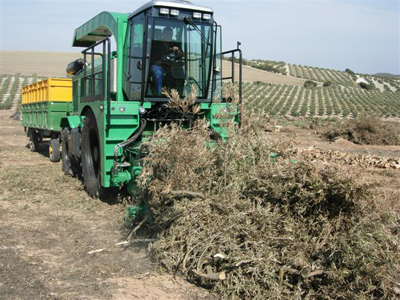 Convertir el residuo del olivar tan abundante en Andaluca en un recurso energtico es una de las lneas de investigacin principales del rea de...