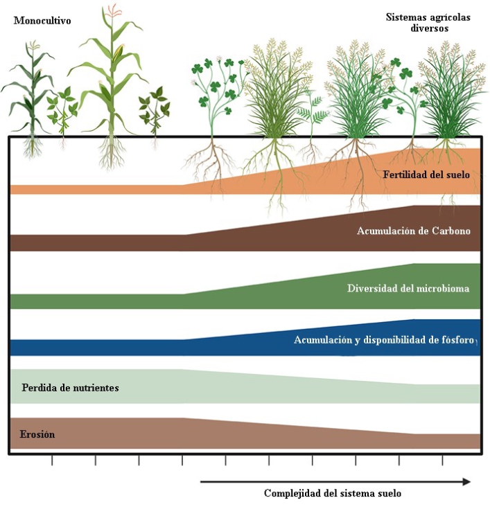 Figura 1. Efecto de la agricultura intensiva sobre diferentes parmetros estructurales y productivos del suelo