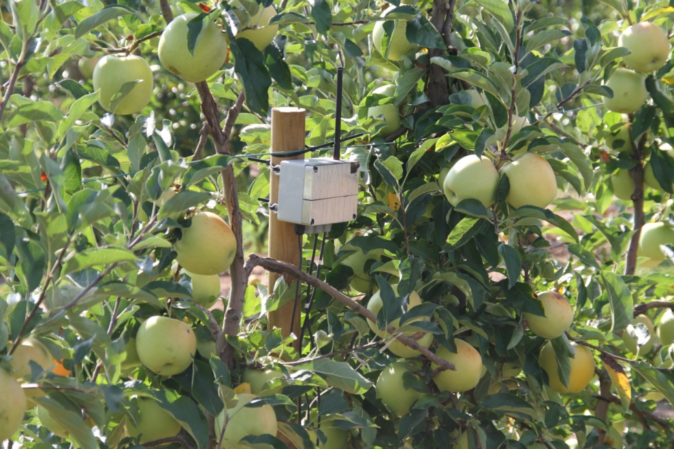 Soporte digital al riego de precisión en manzanos