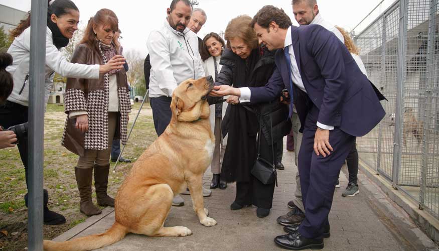 Acompaaron a Su Majestad en la visita, el alcalde del Municipio de Las Rozas Don Jos de la Uz...