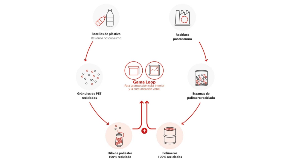 Esquema de desarrollo de Soltis Loop