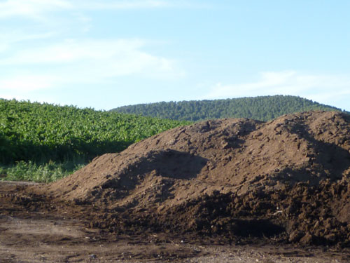 El impacto de las emisiones olorosas en los alrededores de la explotacin depender, especialmente, de la cantidad de emisin de la misma...